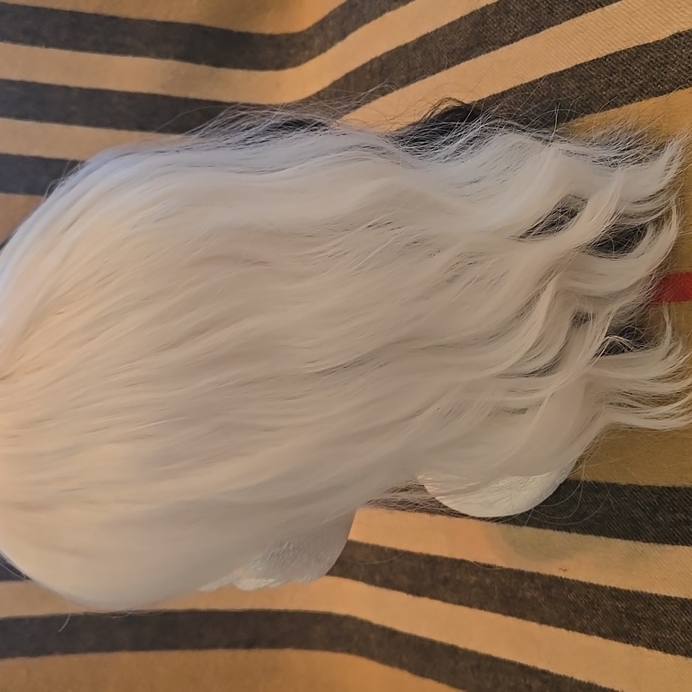 Cruella De VIL Black and White Hair Wig NWOT - Picture 6 of 7